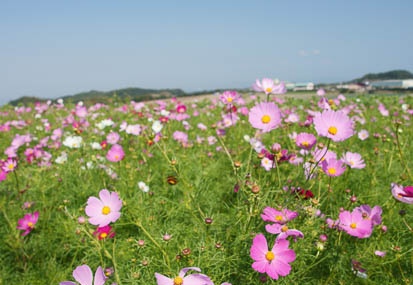 201110081255-DSC00953.jpg