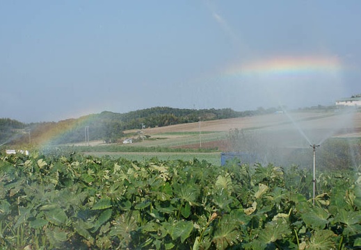 201110081404-DSC01190.jpg