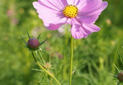 201110081415-DSC01223.jpg