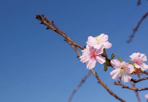 201110081421-DSC01254.jpg