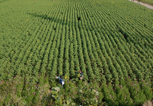 201110081423-DSC01258.jpg