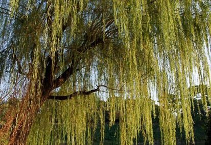 201110081613-DSC01290.jpg