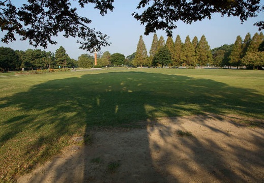 201110090739-DSC01450.jpg