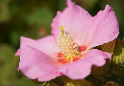 201110091045-DSC01702.jpg
