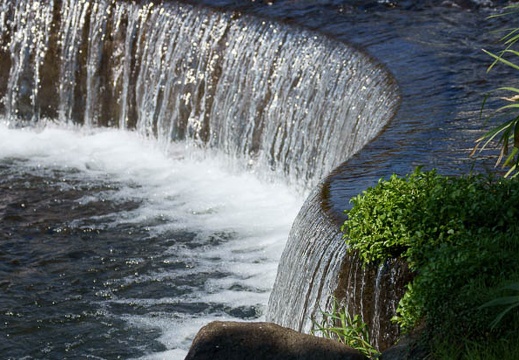 201110091306-DSC01937.jpg