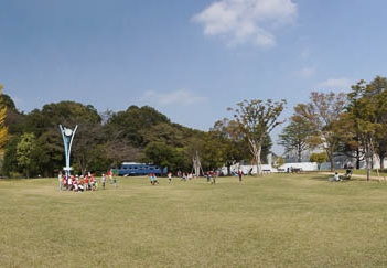 201110121159-DSC02200.jpg
