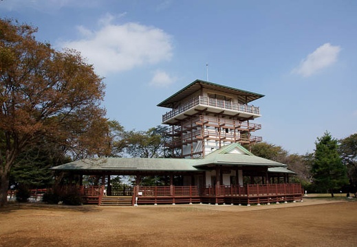 201110121225-DSC02221.jpg