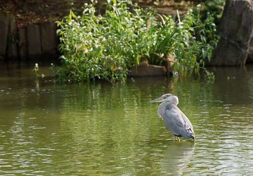 201110171421-DSC02559.jpg