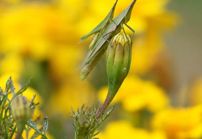 201110171439-DSC02616.jpg