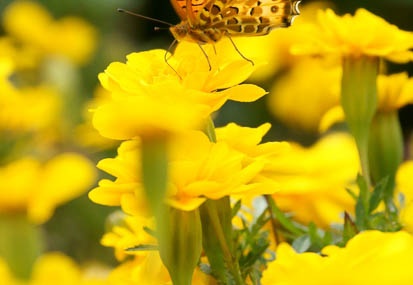 201110171446-DSC02691.jpg