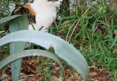 201110171509-DSC02797.jpg