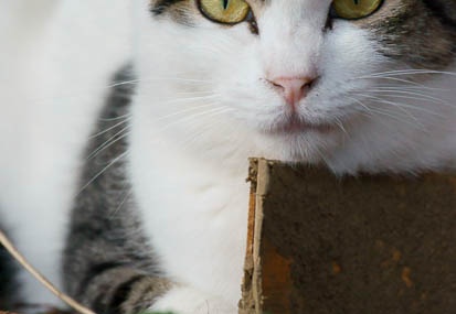 201110171512-DSC02814.jpg