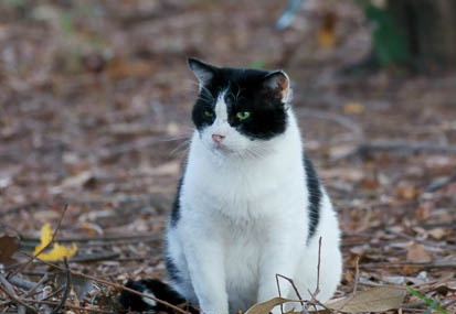 201110171517-DSC02826.jpg