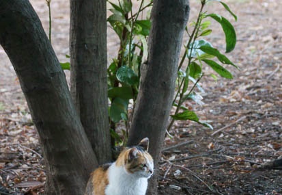 201110171519-DSC02830.jpg