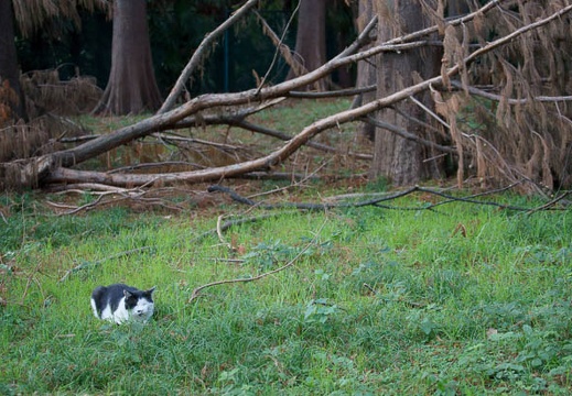 201110171523-DSC02849.jpg