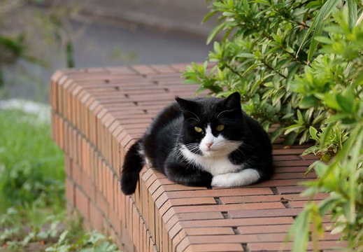 201110171528-DSC02866.jpg