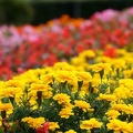 201110171530-DSC02878.jpg