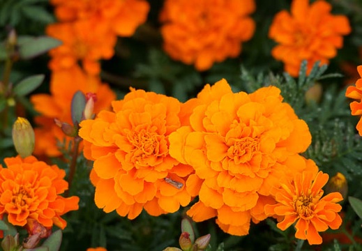 201110171549-DSC02919.jpg
