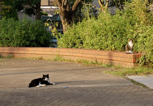 201110171601-DSC02958.jpg