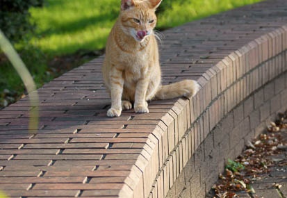 201110171603-DSC02975.jpg