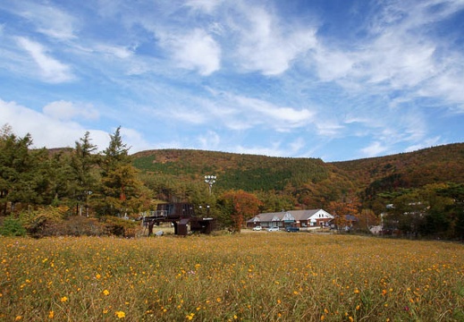 201110180756-DSC03086.jpg