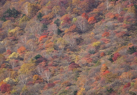 201110180907-DSC03178.jpg