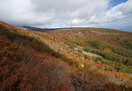 201110180933-DSC03204.jpg
