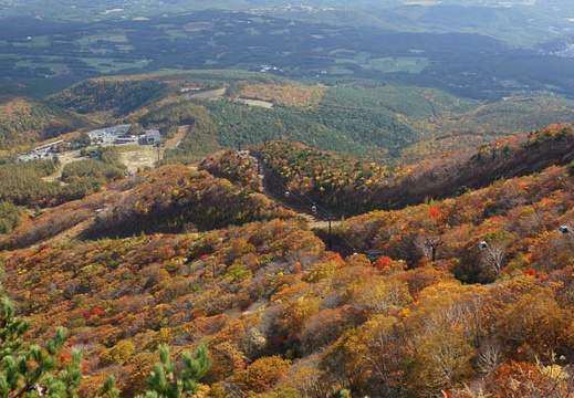 201110180951-DSC03235.jpg