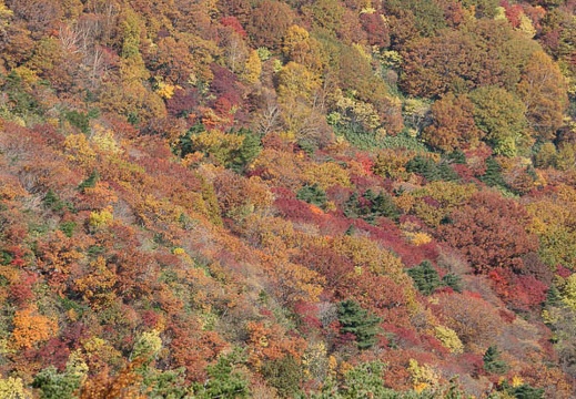 201110180958-DSC03254.jpg
