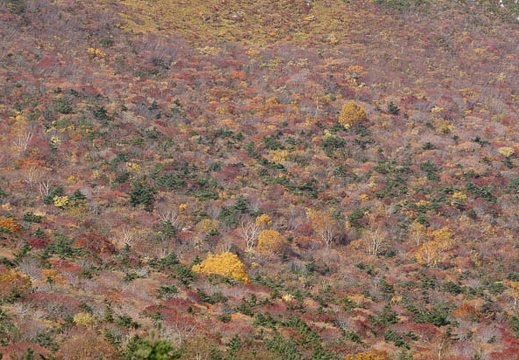 201110180959-DSC03261.jpg