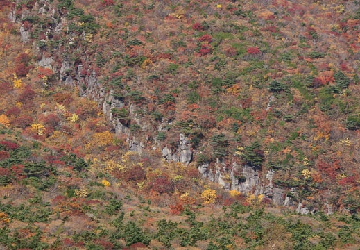 201110181001-DSC03275.jpg