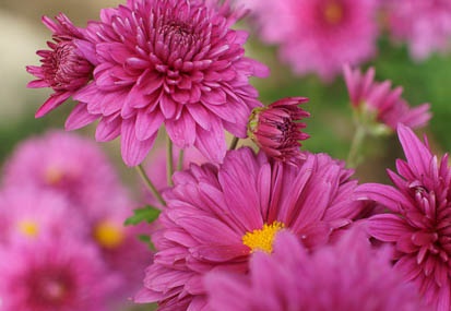 201110181227-DSC03454.jpg