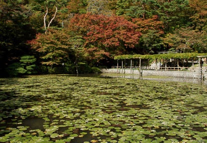 201110181238-DSC03479.jpg