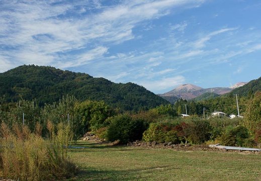 201110190730-DSC03696.jpg