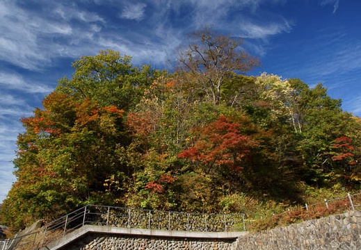 201110190754-DSC03738.jpg