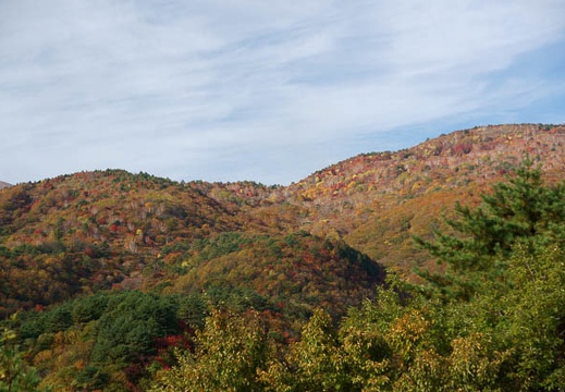 201110190803-DSC03759.jpg
