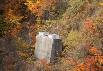 201110190920-DSC03955.jpg