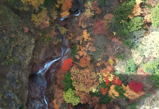20111019092409-SO-01B.jpg