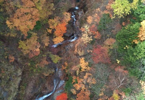 20111019092426-SO-01B.jpg