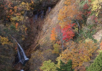201110190929-DSC03986.jpg