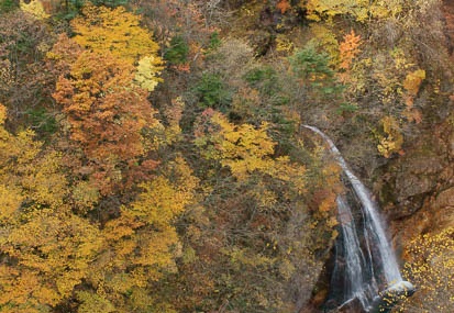 201110190931-DSC03991.jpg