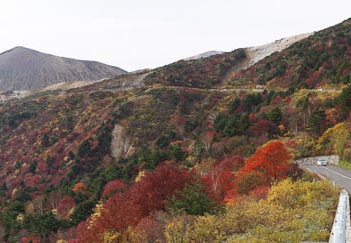 201110191016-DSC04084.jpg