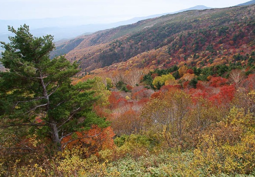 201110191019-DSC04091.jpg