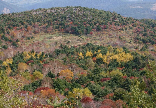 201110191026-DSC04112.jpg