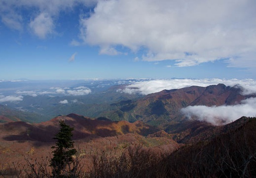 201110201011-DSC04716.jpg