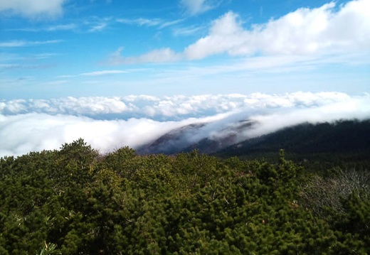 20111020103212-SO-01B.jpg