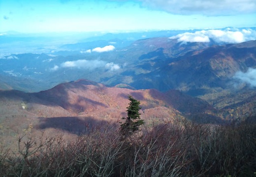 20111020103242-SO-01B.jpg