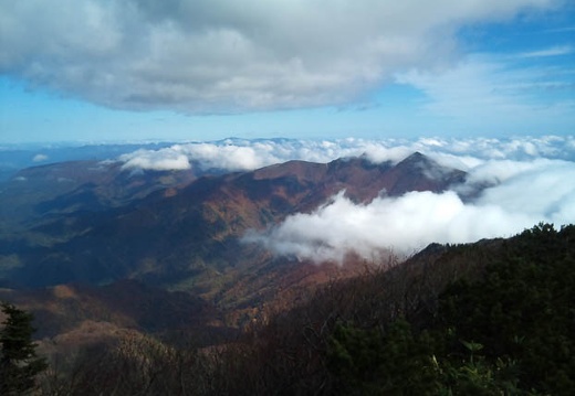 20111020103258-SO-01B.jpg
