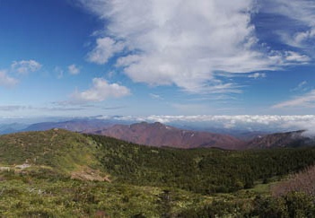201110201104-DSC04830.jpg