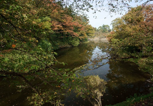 201110210833-DSC05350.jpg